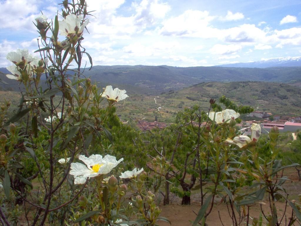 Hotel Rural Sierra De Francia Sotoserrano Bagian luar foto